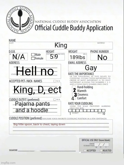 Cuddle Buddy Application | King; 189lbs; N/A; No; 5'9; Hell no; Gay; 2; 3; King, D, ect; 4; Pajama pants and a hoodie; Big/little spoon, back to chest, laying down | image tagged in cuddle buddy application | made w/ Imgflip meme maker