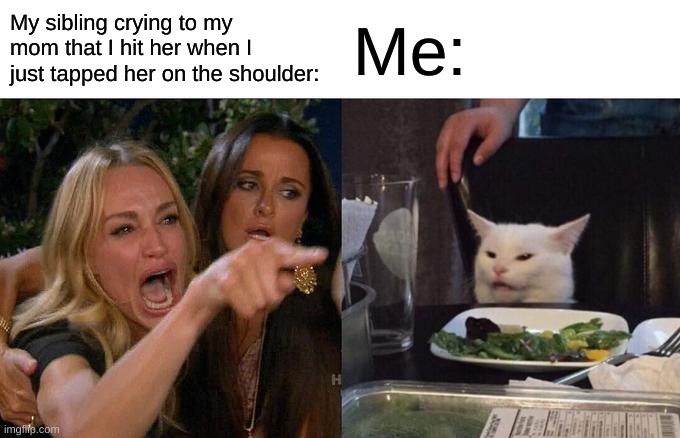 Woman Yelling At Cat Meme | My sibling crying to my mom that I hit her when I just tapped her on the shoulder:; Me: | image tagged in memes,woman yelling at cat | made w/ Imgflip meme maker