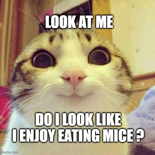 Smiling Cat Meme | LOOK AT ME; DO I LOOK LIKE I ENJOY EATING MICE ? | image tagged in memes,smiling cat | made w/ Imgflip meme maker