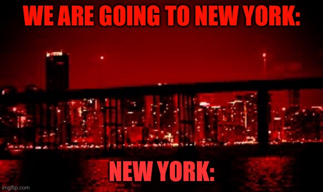 New York is dangerous | WE ARE GOING TO NEW YORK:; NEW YORK: | image tagged in the red light district | made w/ Imgflip meme maker