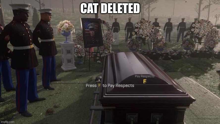 Press F to Pay Respects | CAT DELETED | image tagged in press f to pay respects | made w/ Imgflip meme maker