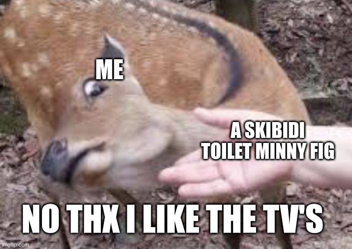 no thx i want a tv one | ME; A SKIBIDI TOILET MINNY FIG; NO THX I LIKE THE TV'S | image tagged in nope deer | made w/ Imgflip meme maker