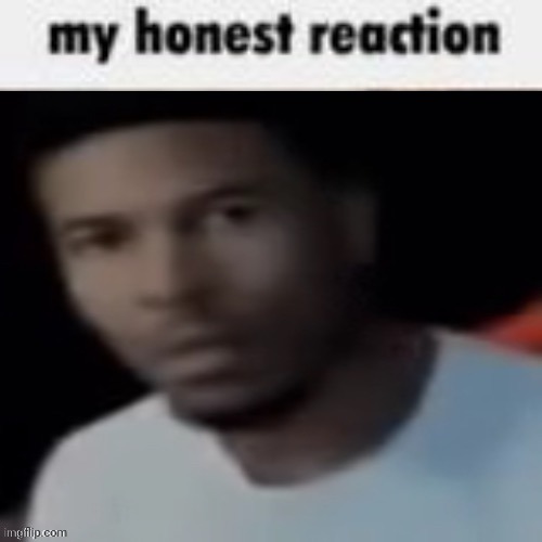 my honest reaction | image tagged in my honest reaction | made w/ Imgflip meme maker