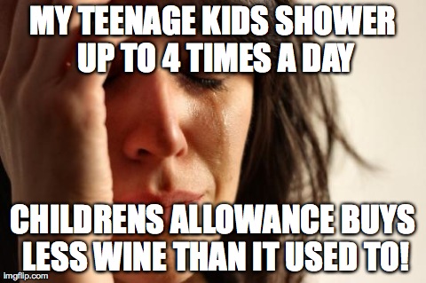 First World Problems | MY TEENAGE KIDS SHOWER UP TO 4 TIMES A DAY CHILDRENS ALLOWANCE BUYS LESS WINE THAN IT USED TO! | image tagged in memes,first world problems | made w/ Imgflip meme maker