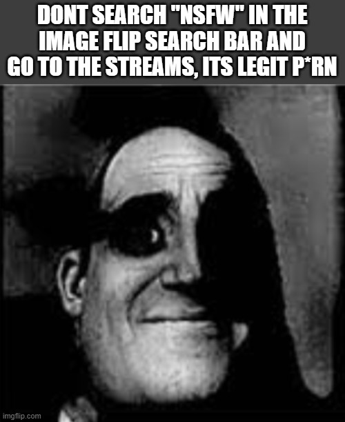 all the mods and owners accounts got deleted tho | DONT SEARCH "NSFW" IN THE IMAGE FLIP SEARCH BAR AND GO TO THE STREAMS, ITS LEGIT P*RN | image tagged in chikanboi | made w/ Imgflip meme maker