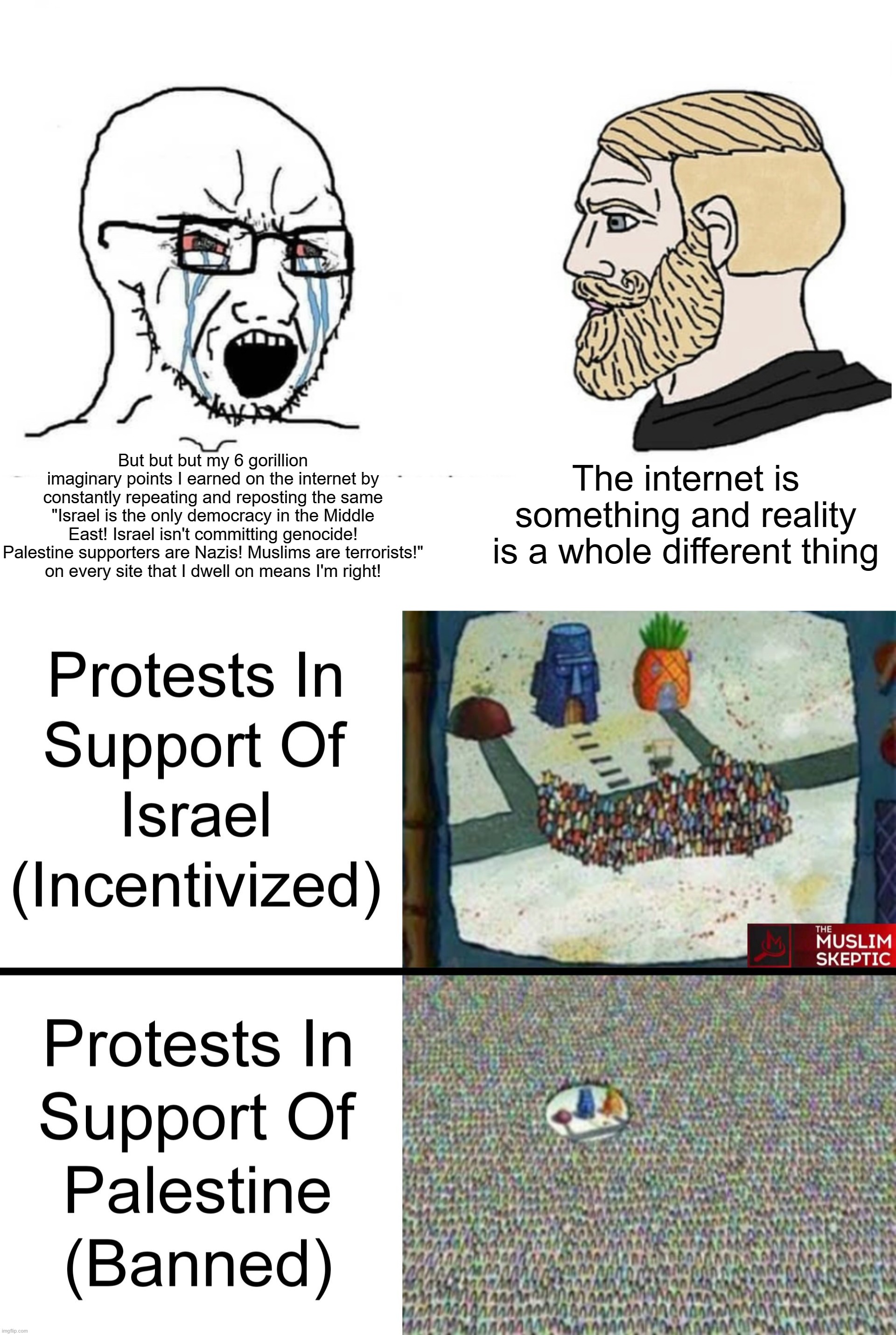 The Internet is Something and Reality is a Whole Different Thing | But but but my 6 gorillion imaginary points I earned on the internet by constantly repeating and reposting the same "Israel is the only demo | image tagged in soyboy vs yes chad,israel,palestine,internet,genocide,terrorism | made w/ Imgflip meme maker