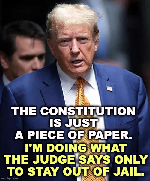 THE CONSTITUTION IS JUST A PIECE OF PAPER. I'M DOING WHAT THE JUDGE SAYS ONLY TO STAY OUT OF JAIL. | image tagged in trump,hate,constitution,love,dictator | made w/ Imgflip meme maker
