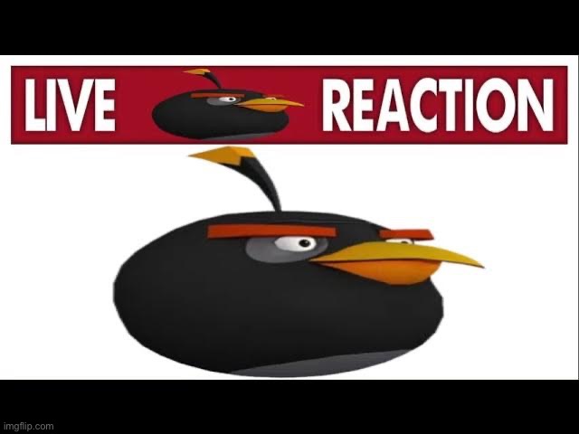 Live bomb reaction | image tagged in live bomb reaction | made w/ Imgflip meme maker