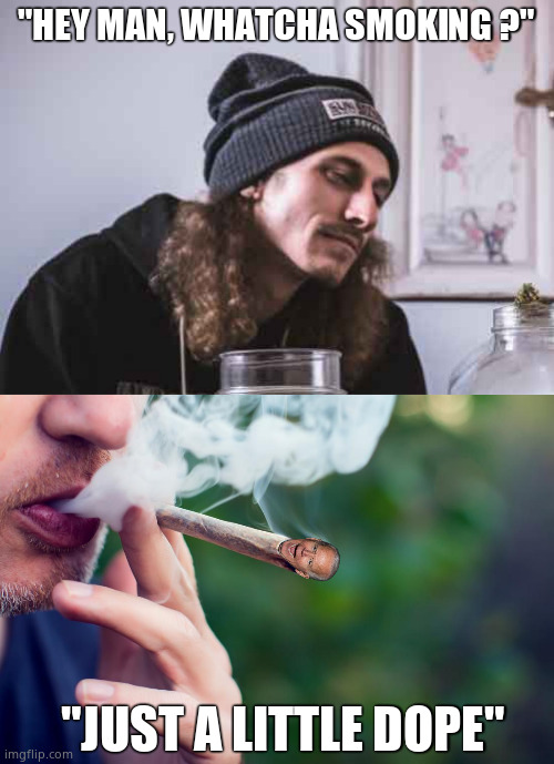 Dopey Joe | "HEY MAN, WHATCHA SMOKING ?"; "JUST A LITTLE DOPE" | image tagged in memes,joe biden,dope,smoking,smoking weed,political meme | made w/ Imgflip meme maker