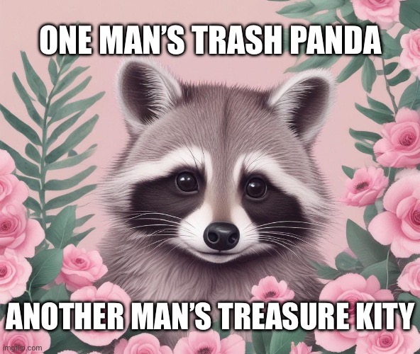 Treasure kity | ONE MAN’S TRASH PANDA; ANOTHER MAN’S TREASURE KITY | image tagged in treasure kity | made w/ Imgflip meme maker