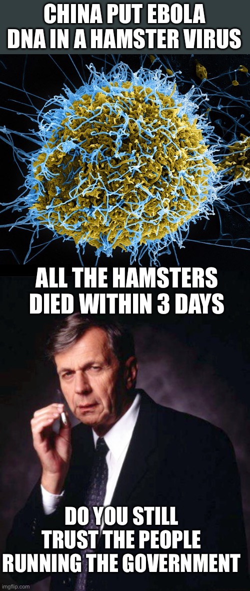 China mixed a bio level 4 virus with a bio level 2 virus in a bio safety level 2 lab! What could go wrong ?? | CHINA PUT EBOLA DNA IN A HAMSTER VIRUS; ALL THE HAMSTERS DIED WITHIN 3 DAYS; DO YOU STILL TRUST THE PEOPLE RUNNING THE GOVERNMENT | image tagged in the x-files' smoking man,ebola,lab,chima,dna,virus | made w/ Imgflip meme maker