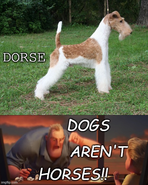 Fox terriers be like | DORSE; DOGS; AREN'T; HORSES!! | image tagged in wirehaired fox terrier,math is math | made w/ Imgflip meme maker