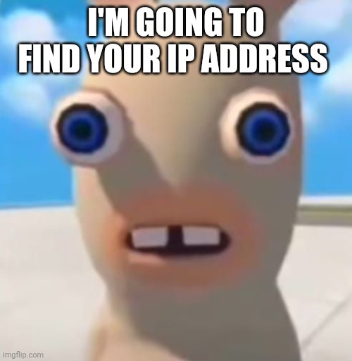 Idiot Rabbid | I'M GOING TO FIND YOUR IP ADDRESS | image tagged in idiot rabbid | made w/ Imgflip meme maker