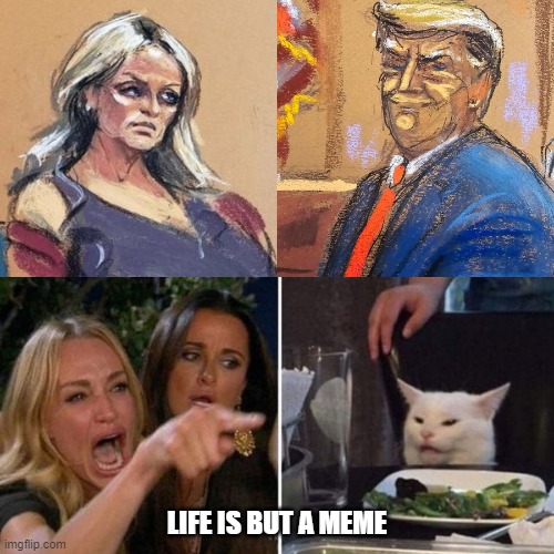 Life is but a meme | LIFE IS BUT A MEME | image tagged in president trump,stormy daniels,trump | made w/ Imgflip meme maker