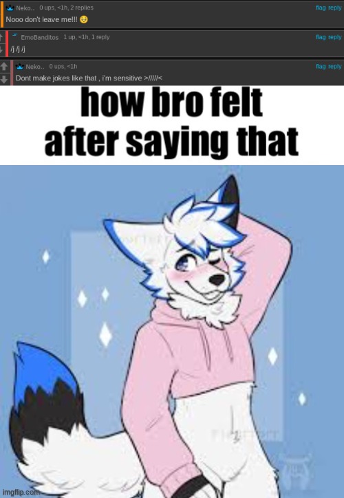 image tagged in how bro felt after saying that | made w/ Imgflip meme maker