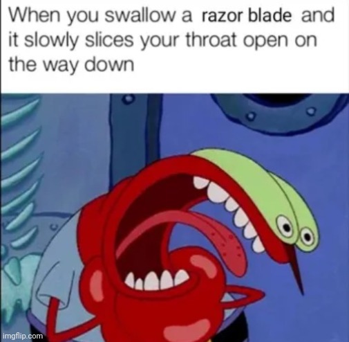 Razor blade | image tagged in razor blade,razor blades,reposts,repost,memes,swallow | made w/ Imgflip meme maker