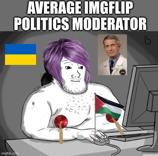 Average Redditor | AVERAGE IMGFLIP POLITICS MODERATOR | image tagged in average redditor | made w/ Imgflip meme maker