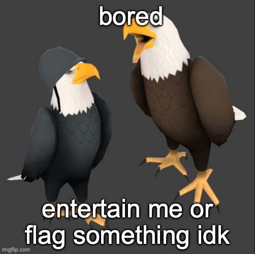 tf2 eagles | bored; entertain me or flag something idk | image tagged in tf2 eagles | made w/ Imgflip meme maker