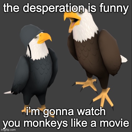 tf2 eagles | the desperation is funny; i’m gonna watch you monkeys like a movie | image tagged in tf2 eagles | made w/ Imgflip meme maker