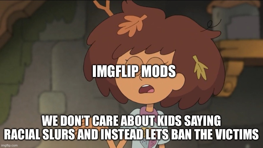 A Small Price to Pay for Salvation: Amphibia Edition | IMGFLIP MODS; WE DON’T CARE ABOUT KIDS SAYING RACIAL SLURS AND INSTEAD LETS BAN THE VICTIMS | image tagged in a small price to pay for salvation amphibia edition | made w/ Imgflip meme maker