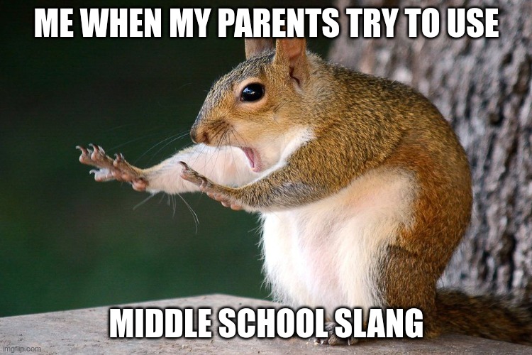 I here it enough at school I don't need it at home too! | ME WHEN MY PARENTS TRY TO USE; MIDDLE SCHOOL SLANG | image tagged in squirrel no,middle school,slang | made w/ Imgflip meme maker