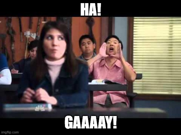 ha gay | HA! GAAAAY! | image tagged in ha gay | made w/ Imgflip meme maker