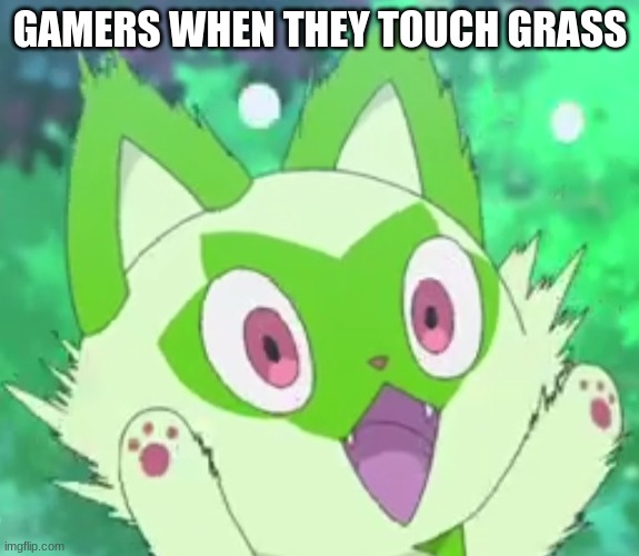 Sprigatito shocked | GAMERS WHEN THEY TOUCH GRASS | image tagged in sprigatito shocked | made w/ Imgflip meme maker