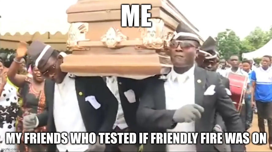Coffin Dance | ME; MY FRIENDS WHO TESTED IF FRIENDLY FIRE WAS ON | image tagged in coffin dance | made w/ Imgflip meme maker