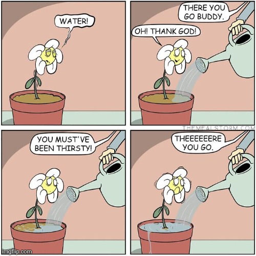 Wet plant | image tagged in wet,plant,water,plants,comics,comics/cartoons | made w/ Imgflip meme maker