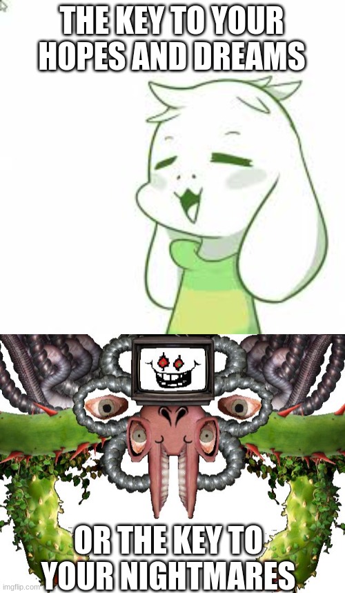 THE KEY TO YOUR HOPES AND DREAMS OR THE KEY TO YOUR NIGHTMARES | image tagged in asriel,omega flowey | made w/ Imgflip meme maker