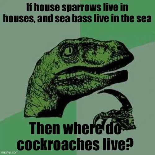 raptor asking questions | If house sparrows live in houses, and sea bass live in the sea; Then where do cockroaches live? | image tagged in raptor asking questions | made w/ Imgflip meme maker