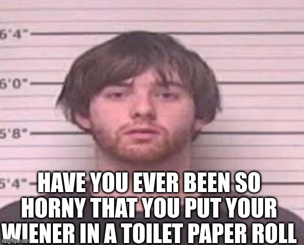 LazyMazy mug shot | HAVE YOU EVER BEEN SO HORNY THAT YOU PUT YOUR WIENER IN A TOILET PAPER ROLL | image tagged in lazymazy mug shot | made w/ Imgflip meme maker