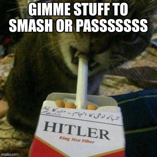 Hitler | GIMME STUFF TO SMASH OR PASSSSSSS | image tagged in hitler | made w/ Imgflip meme maker