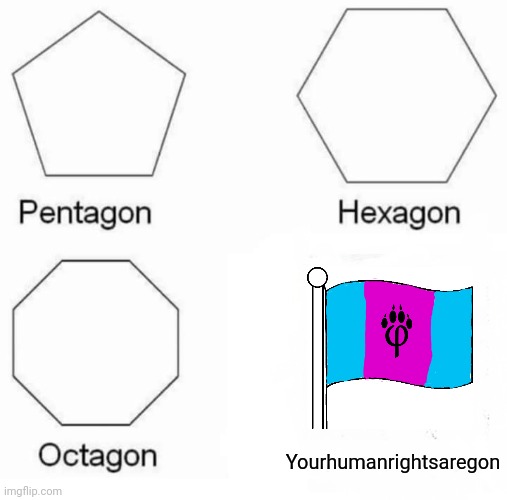 Yep | Yourhumanrightsaregon | image tagged in memes,pentagon hexagon octagon,human rights,furries | made w/ Imgflip meme maker