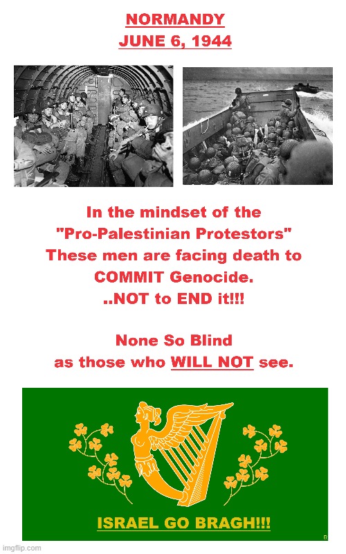 Genocide ENDERS (pic) | image tagged in normandy,heroes | made w/ Imgflip meme maker