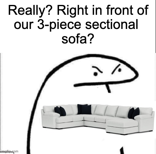 Really? Right in front of our 3-piece sectional sofa? | Really? Right in front of
our 3-piece sectional 
sofa? | image tagged in really right in front of my | made w/ Imgflip meme maker
