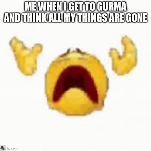Rdr2 | ME WHEN I GET TO GURMA AND THINK ALL MY THINGS ARE GONE | image tagged in meme | made w/ Imgflip meme maker