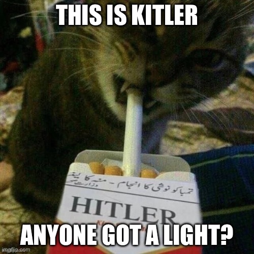 Hitler | THIS IS KITLER; ANYONE GOT A LIGHT? | image tagged in hitler | made w/ Imgflip meme maker
