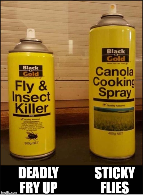 What Could Possibly Go Wrong ? | DEADLY FRY UP; STICKY FLIES | image tagged in fly killer,cooking,spray,dark humour | made w/ Imgflip meme maker