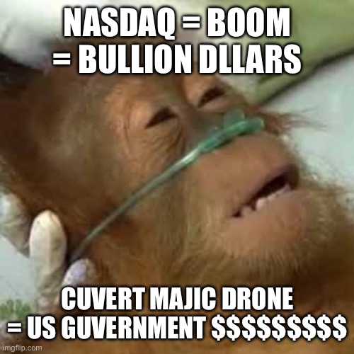 Dying orangutan | NASDAQ = BOOM = BULLION DLLARS; CUVERT MAJIC DRONE = US GUVERNMENT $$$$$$$$$ | image tagged in dying orangutan | made w/ Imgflip meme maker