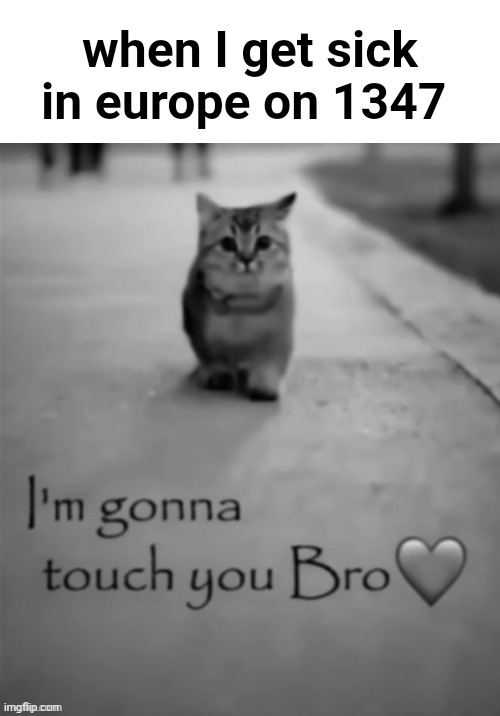 if ykyk | when I get sick in europe on 1347 | image tagged in i'm gonna touch you bro | made w/ Imgflip meme maker