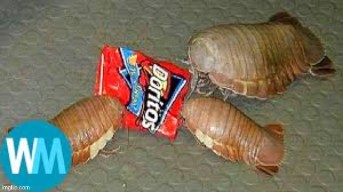 bro average day on seattle | made w/ Imgflip meme maker