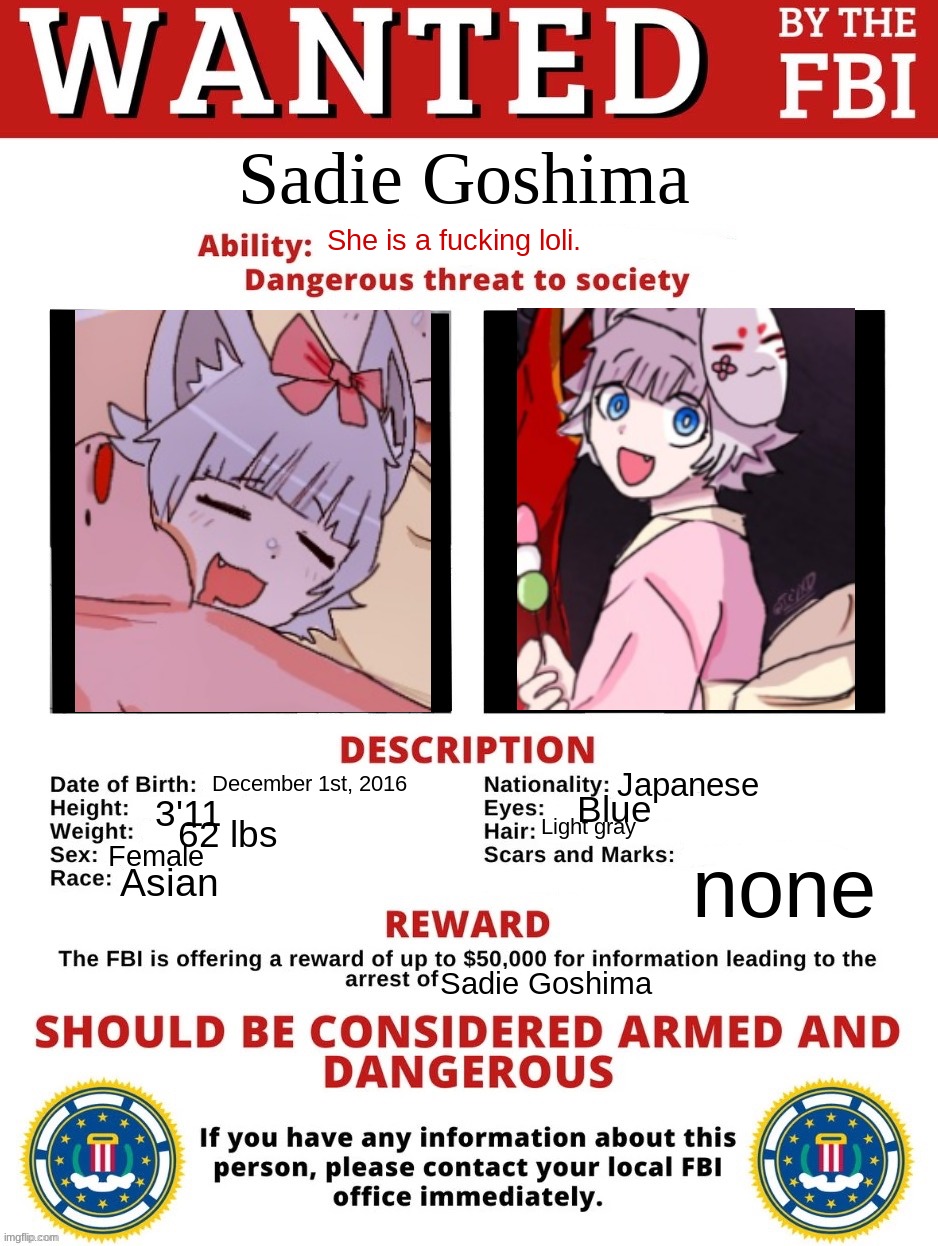PLEASE STEER CLEAR | Sadie Goshima; She is a fucking loli. December 1st, 2016; Japanese; Blue; 3'11; Light gray; 62 lbs; Female; none; Asian; Sadie Goshima | image tagged in fbi wanted posted free to use | made w/ Imgflip meme maker