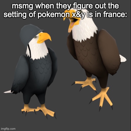 tf2 eagles | msmg when they figure out the setting of pokemon x&y is in france: | image tagged in tf2 eagles | made w/ Imgflip meme maker