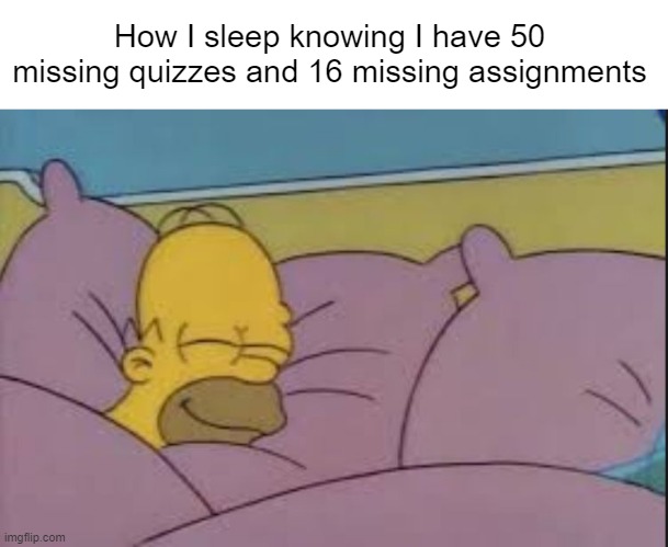 how i sleep homer simpson | How I sleep knowing I have 50 missing quizzes and 16 missing assignments | image tagged in how i sleep homer simpson | made w/ Imgflip meme maker