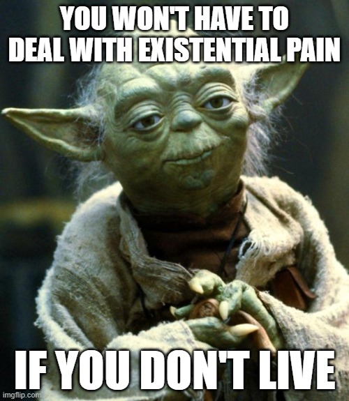 It makes you think | YOU WON'T HAVE TO DEAL WITH EXISTENTIAL PAIN; IF YOU DON'T LIVE | image tagged in memes,star wars yoda | made w/ Imgflip meme maker