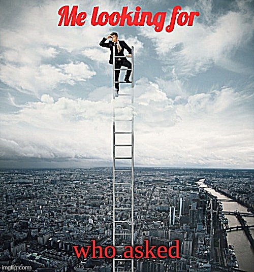 Searching | who asked | image tagged in searching | made w/ Imgflip meme maker