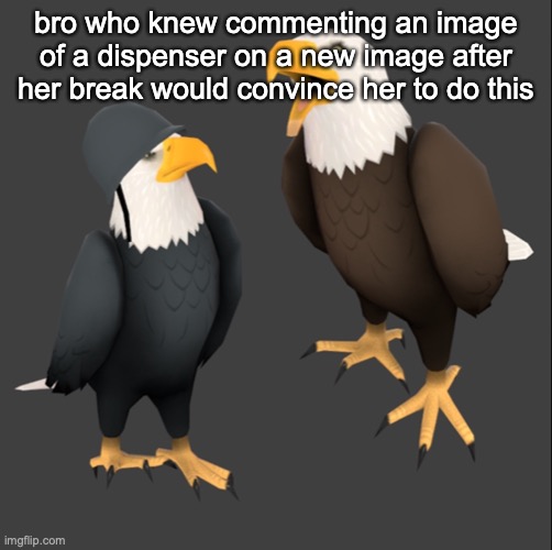 conclusion. | bro who knew commenting an image of a dispenser on a new image after her break would convince her to do this | image tagged in tf2 eagles | made w/ Imgflip meme maker