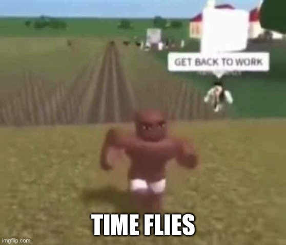 Goodbye | TIME FLIES | image tagged in roblox slave work | made w/ Imgflip meme maker