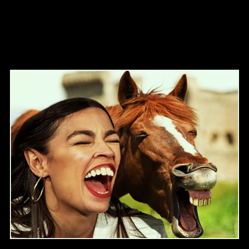 High Quality Horse face AOC Blank Meme Template